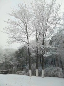 雪色