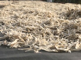 银鱼干