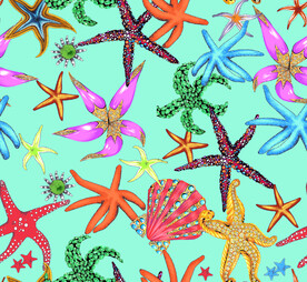 大牌 海星 贝壳