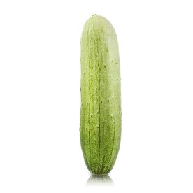 时令蔬菜  