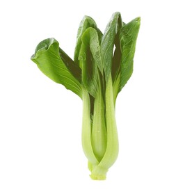 时令蔬菜  