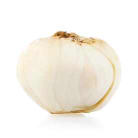 时令蔬菜 