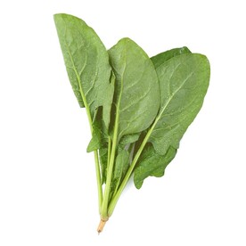时令蔬菜  