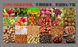 水果坚果素材集合