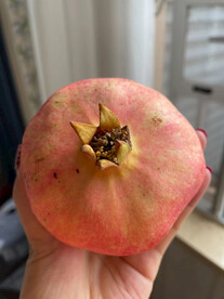 软籽石榴