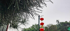 雨季