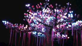 贵州安顺山里江南夜游景观