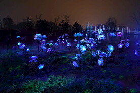 北京蔚蓝夜游灯光秀