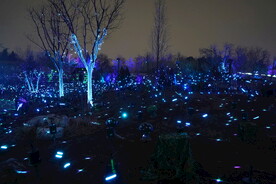 北京蔚蓝夜游灯光秀