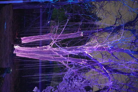 北京玉渊潭《蔚蓝》夜游灯光秀