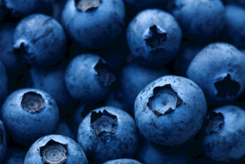 蓝莓