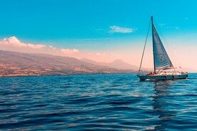 海