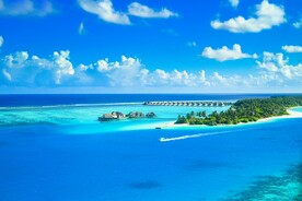 海