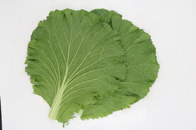 白菜叶 饭包菜叶