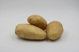 土豆马铃薯