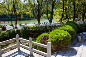 岳阳君山岛景区 龙涎井