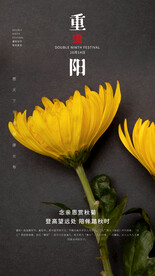 重阳