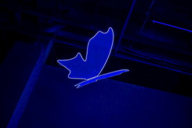 宋城光影秀蝴蝶灯特写