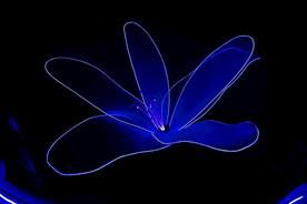 宋城光影秀花朵灯近景特写