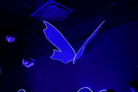 宋城光影秀蝴蝶灯