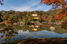 日本京都庭院风光