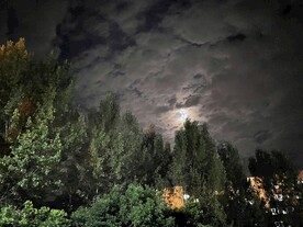 树与夜空