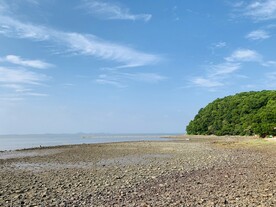 红树林湿地公园