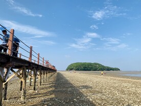红树林湿地公园