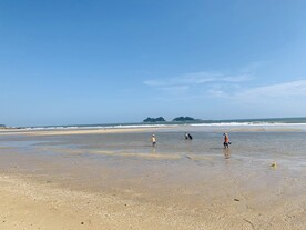 海滩