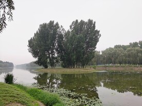 滨河美景