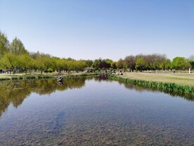 滨河美景