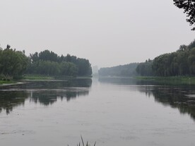 滨河美景