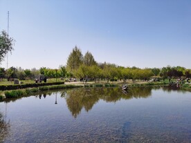 滨河美景