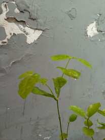旧墙面 