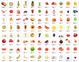 手绘水果矢量素材