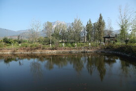 乡村小景