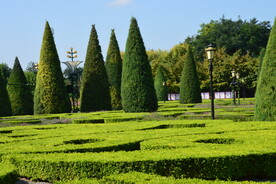 园林风景 
