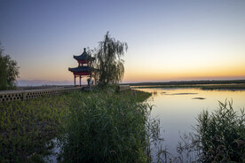 东平湖湿地黄昏凉亭