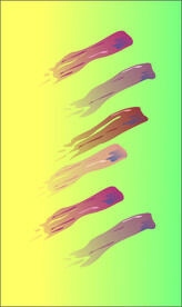 彩色纹理图片壁纸