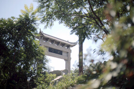 绿树蓝天