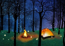 复活节摄影摄像背景布夜景