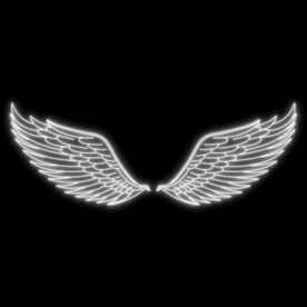 原创矢量AI线稿翅膀