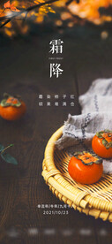 地产霜降节气海报