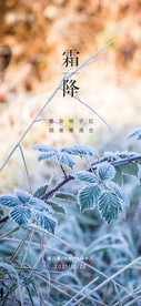 地产霜降节气海报
