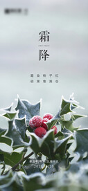 地产霜降节气海报