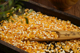 新鲜的玉米碴子