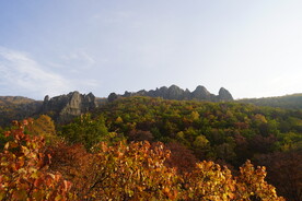 秋景如画