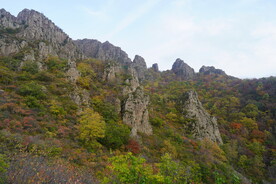 山崖之秋