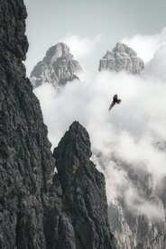 高山 云雾