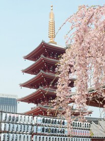 日本风景